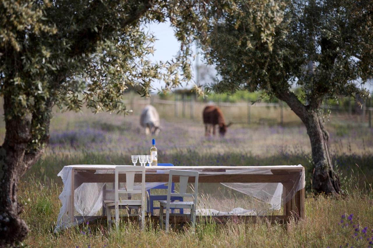 Quinta Dos Doze Sobreiros - Quarto Sol Ferreira Do Alentejo Exterior foto